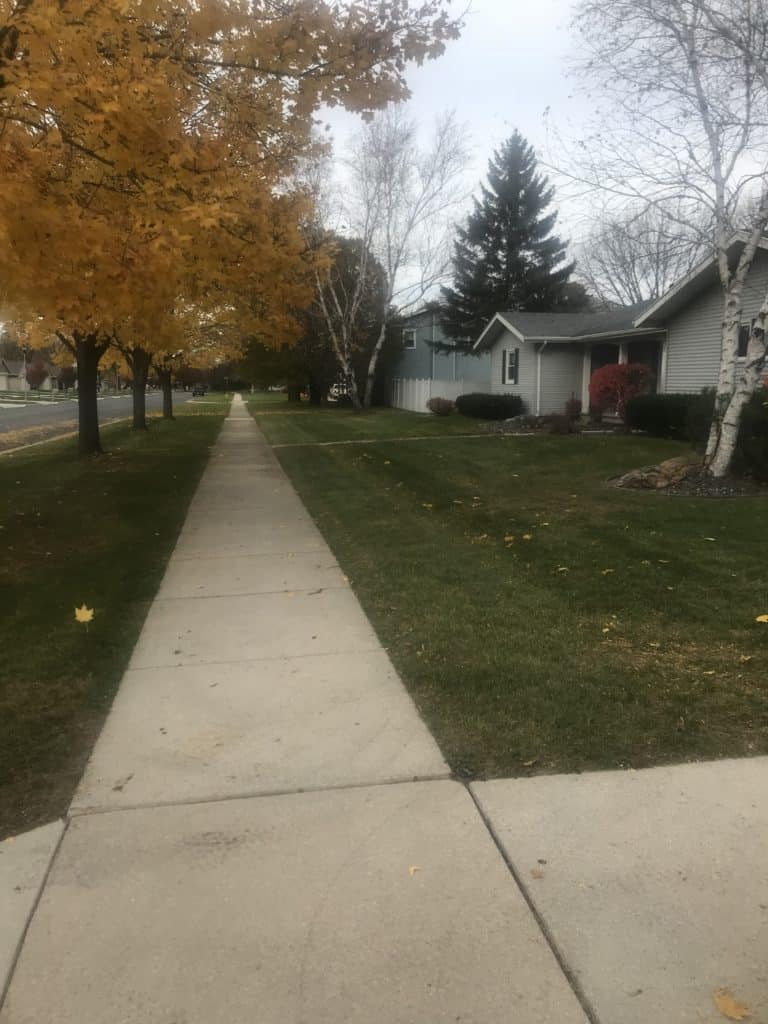 Recent landscaping work